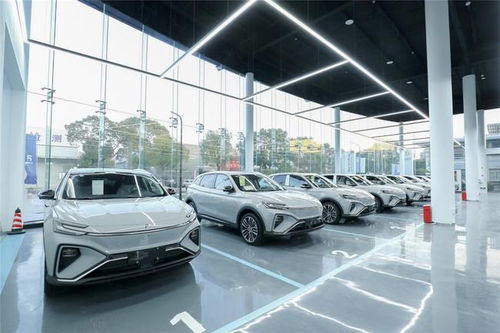 飛凡汽車(chē)的非凡服務(wù) 開(kāi)啟高品質(zhì)個(gè)性化汽車(chē)服務(wù)新體驗(yàn)